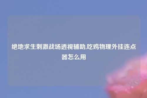 绝地求生刺激战场透视辅助,吃鸡物理外挂连点器怎么用