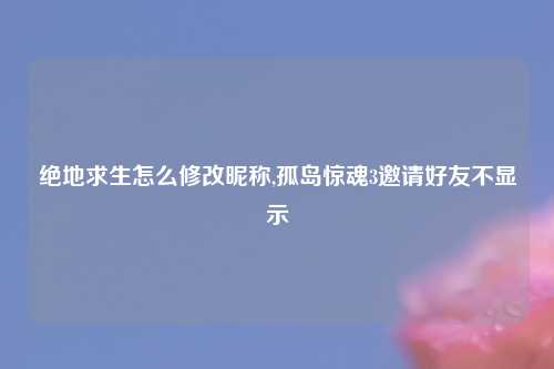 绝地求生怎么修改昵称,孤岛惊魂3邀请好友不显示