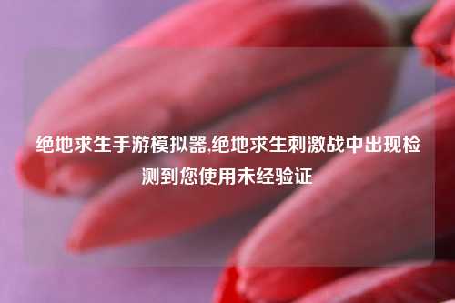 绝地求生手游模拟器,绝地求生刺激战中出现检测到您使用未经验证