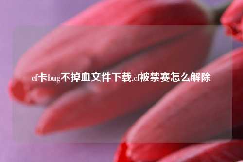 cf卡bug不掉血文件下载,cf被禁赛怎么解除