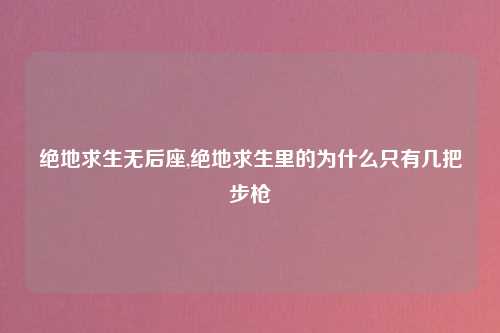 绝地求生无后座,绝地求生里的为什么只有几把步枪