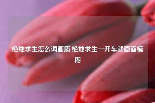 绝地求生怎么调画质,绝地求生一开车就画面模糊