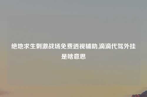 绝地求生刺激战场免费透视辅助,滴滴代驾外挂是啥意思