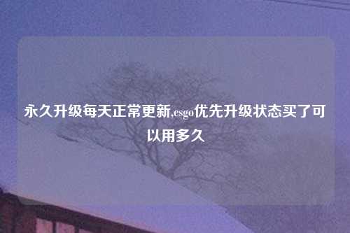 永久升级每天正常更新,csgo优先升级状态买了可以用多久
