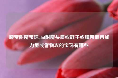 腰带附魔宝珠,dnf附魔头肩或鞋子或腰带而且加力量或者物攻的宝珠有哪些