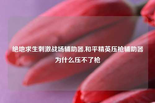 绝地求生刺激战场辅助器,和平精英压枪辅助器为什么压不了枪