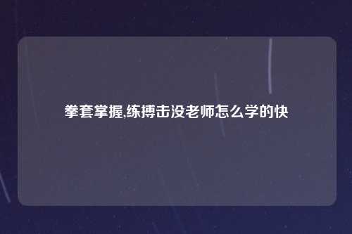 拳套掌握,练搏击没老师怎么学的快