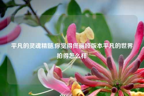 平凡的灵魂精髓,你觉得佟丽娅版本平凡的世界拍得怎么样