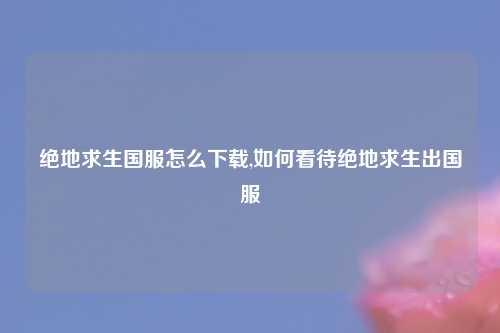 绝地求生国服怎么下载,如何看待绝地求生出国服
