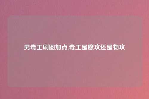 男毒王刷图加点,毒王是魔攻还是物攻