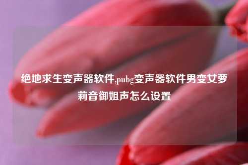 绝地求生变声器软件,pubg变声器软件男变女萝莉音御姐声怎么设置