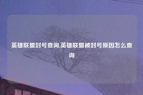 英雄联盟封号查询,英雄联盟被封号原因怎么查询