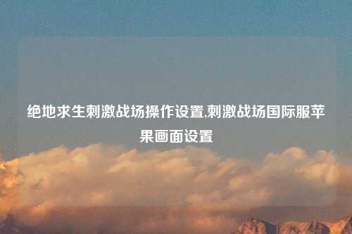 绝地求生刺激战场操作设置,刺激战场国际服苹果画面设置