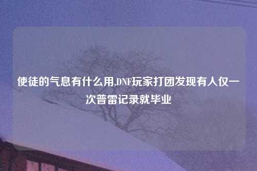 使徒的气息有什么用,DNF玩家打团发现有人仅一次普雷记录就毕业