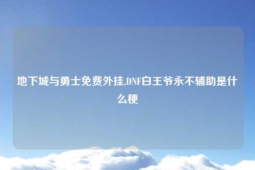 地下城与勇士免费外挂,DNF白王爷永不辅助是什么梗