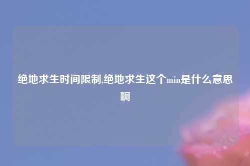 绝地求生时间限制,绝地求生这个min是什么意思啊