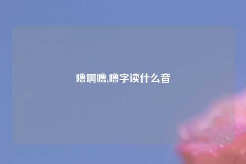 噜啊噜,噜字读什么音