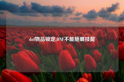 dnf物品锁定,DNF不能施展技能