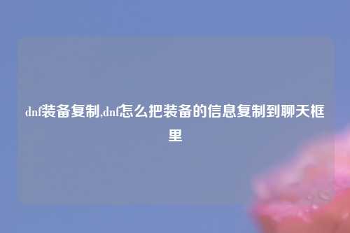 dnf装备复制,dnf怎么把装备的信息复制到聊天框里