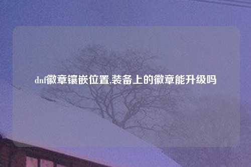 dnf徽章镶嵌位置,装备上的徽章能升级吗