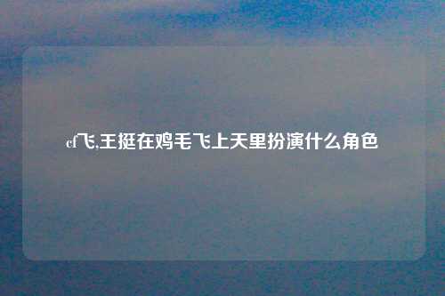 cf飞,王挺在鸡毛飞上天里扮演什么角色