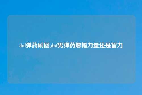 dnf弹药刷图,dnf男弹药增幅力量还是智力
