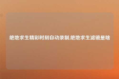 绝地求生精彩时刻自动录制,绝地求生滤镜是啥