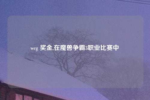 wcg 奖金,在魔兽争霸3职业比赛中
