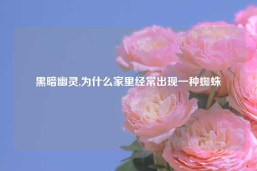 黑暗幽灵,为什么家里经常出现一种蜘蛛