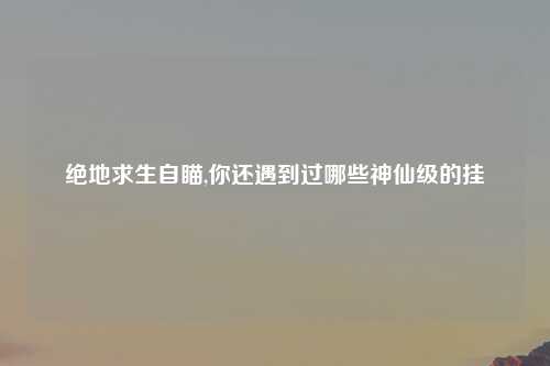 绝地求生自瞄,你还遇到过哪些神仙级的挂