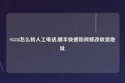 95338怎么转人工电话,顺丰快递如何修改收货地址