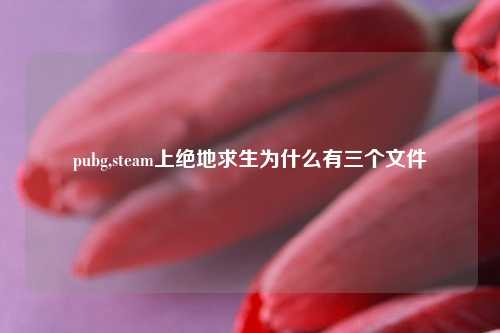pubg,steam上绝地求生为什么有三个文件