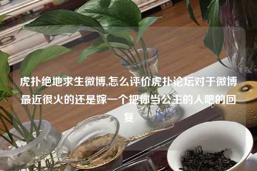 虎扑绝地求生微博,怎么评价虎扑论坛对于微博最近很火的还是嫁一个把你当公主的人吧的回复