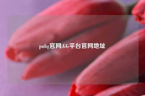 pubg官网,GG平台官网地址