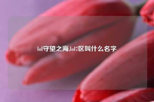 lol守望之海,lol7区叫什么名字