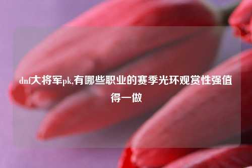 dnf大将军pk,有哪些职业的赛季光环观赏性强值得一做