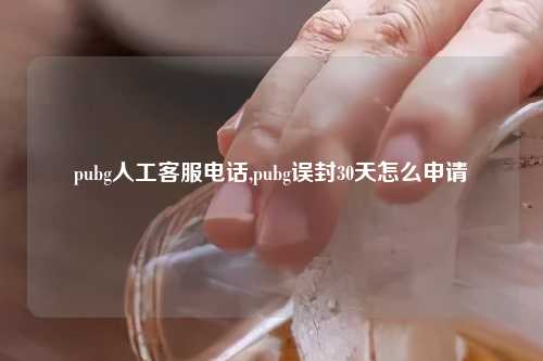 pubg人工客服电话,pubg误封30天怎么申请