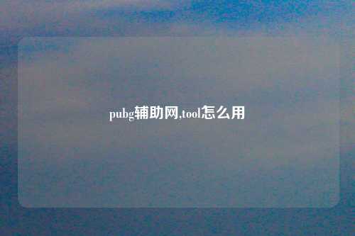 pubg辅助网,tool怎么用