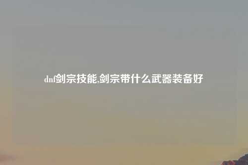 dnf剑宗技能,剑宗带什么武器装备好