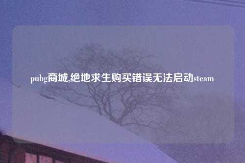 pubg商城,绝地求生购买错误无法启动steam