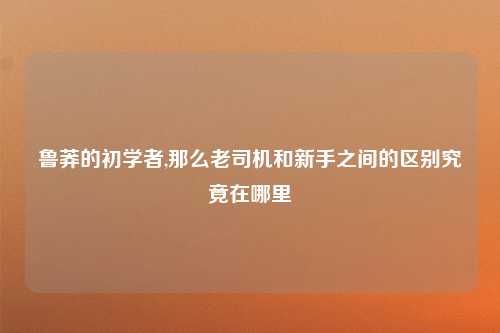 鲁莽的初学者,那么老司机和新手之间的区别究竟在哪里