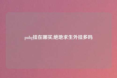 pubg挂在哪买,绝地求生外挂多吗