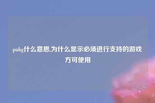 pubg什么意思,为什么显示必须进行支持的游戏方可使用