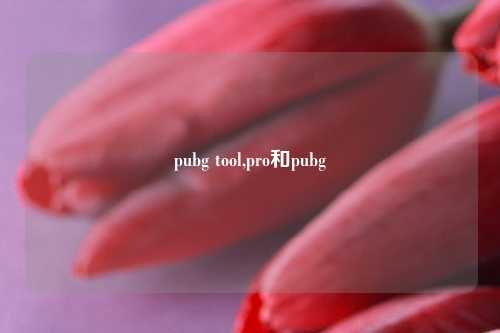pubg tool,pro和pubg