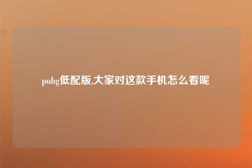 pubg低配版,大家对这款手机怎么看呢