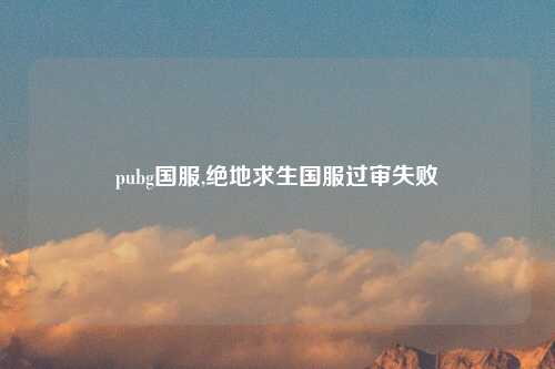 pubg国服,绝地求生国服过审失败