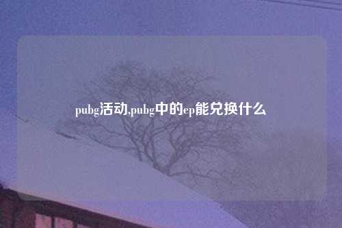 pubg活动,pubg中的ep能兑换什么