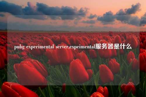 pubg experimental server,expeimental服务器是什么