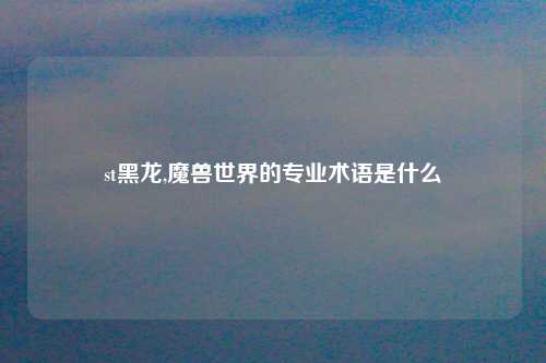 st黑龙,魔兽世界的专业术语是什么