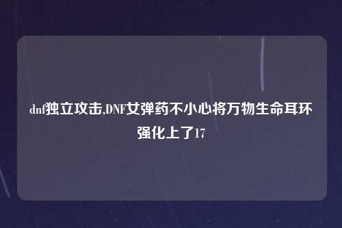 dnf独立攻击,DNF女弹药不小心将万物生命耳环强化上了17
